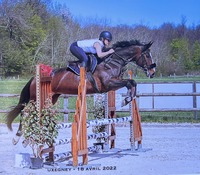 Concours jumping 88 le lundi 18 avril 2022